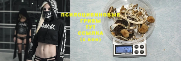 кокс Абдулино