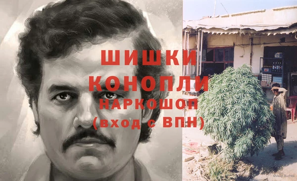 прущие крисы Абаза