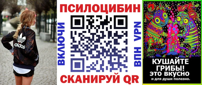 купить наркоту  Омск  Псилоцибиновые грибы Cubensis 