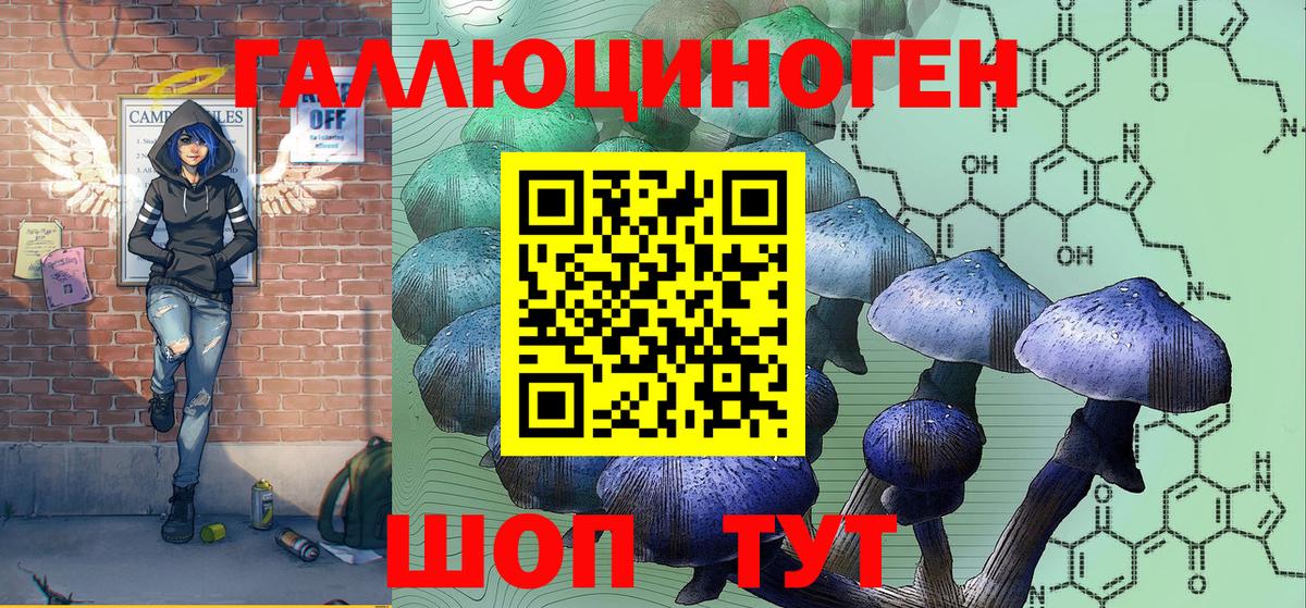 как найти   Псилоцибиновые грибы GOLDEN TEACHER  Вход с VPN  Галлюциногенные грибы GOLDEN TEACHER  Омск 