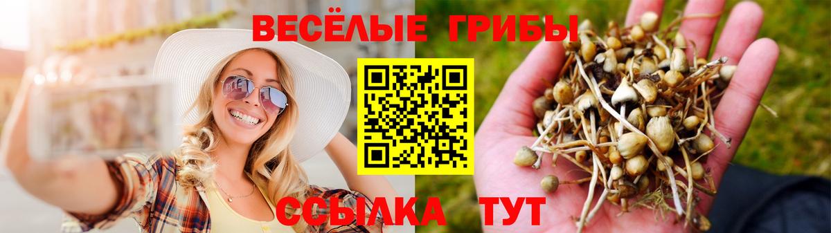 Псилоцибиновые грибы ЛСД Омск